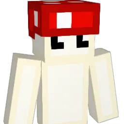 SALICZKA Minecraft avatar bust