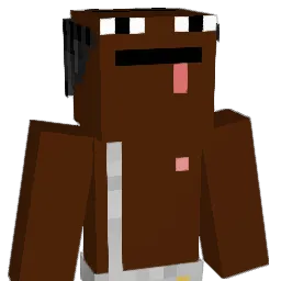 SALSINATSKUCF Minecraft avatar bust