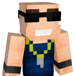 SALT1205 Minecraft avatar bust
