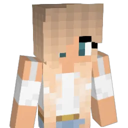 SAR98 Minecraft avatar bust