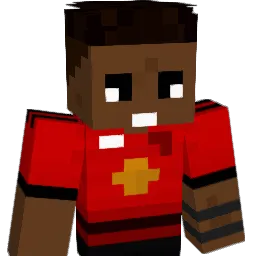 SAT04 Minecraft avatar bust