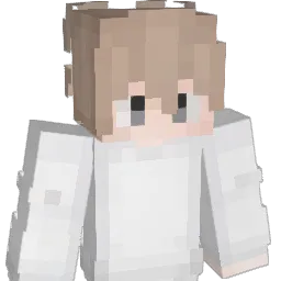 SAY_NAY Minecraft avatar bust