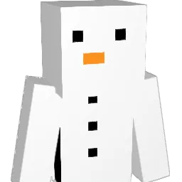 SCHNEEMANN14