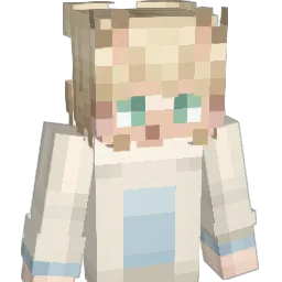 SCYHQWMJ's Minecraft skin