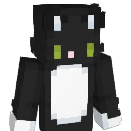 SD629 Minecraft avatar bust