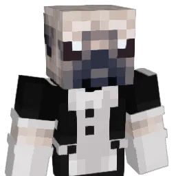 SDAN2210 Minecraft avatar bust