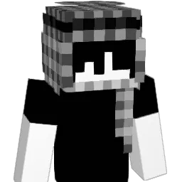 SEEK41 Minecraft avatar bust