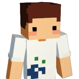 SEETWE Minecraft avatar bust