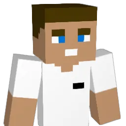 SEIDER6705 Minecraft avatar bust