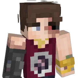 SEILT Minecraft avatar bust