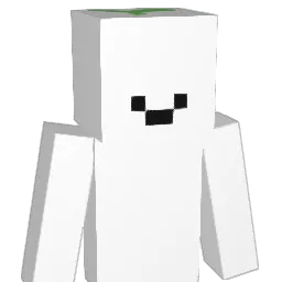 SEOYUJIND Minecraft avatar bust