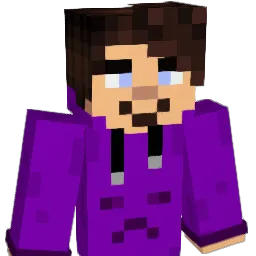 SEbixowy Minecraft avatar bust