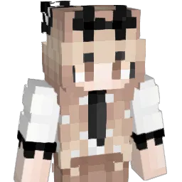 SEo0 Minecraft avatar bust