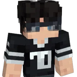 SEv701 Minecraft avatar bust