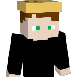 SGsaltychip Minecraft avatar bust
