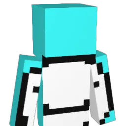 SHAHEERALI Minecraft avatar bust