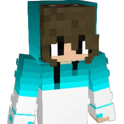SHENR1 Minecraft avatar bust