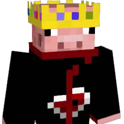 SIDDIO Minecraft avatar bust