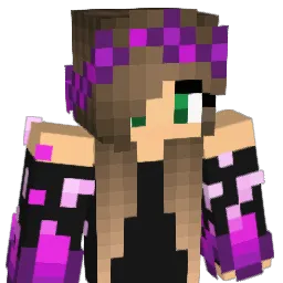 SIERRA1112 Minecraft avatar bust