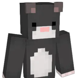 SIMBA1995's Minecraft skin