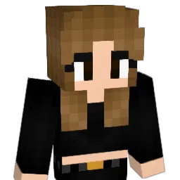 SIR_3BOOD