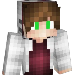 SIiced Minecraft avatar bust
