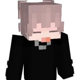 SJ1014 Minecraft avatar bust