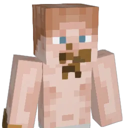 SJNhwk Minecraft avatar bust
