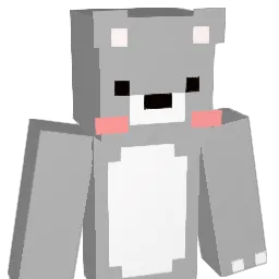 SJ_623 Minecraft avatar bust