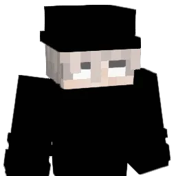 SKILEREQ0 Minecraft avatar bust