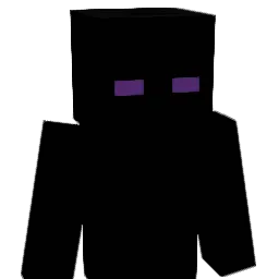SKRYTYNINJA1