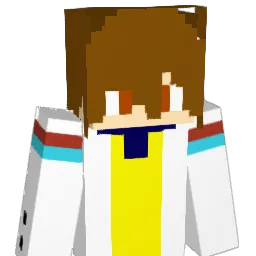 SKYY1005 Minecraft avatar bust