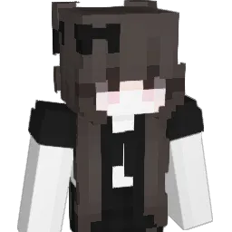 SKY__OVO Minecraft avatar bust