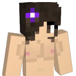 SLNKO_XD Minecraft avatar bust