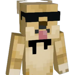 SLOTHSHY Minecraft avatar bust