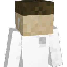 SLY18_ Minecraft avatar bust