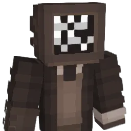 SMILEZ1010101 Minecraft avatar bust
