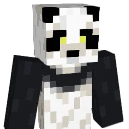 SN0Wowl Minecraft avatar bust