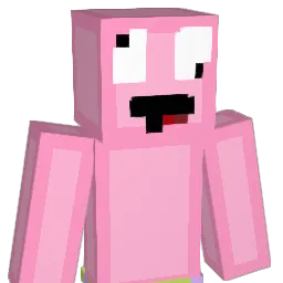 SNAPPIERGOOSE89 Minecraft avatar bust