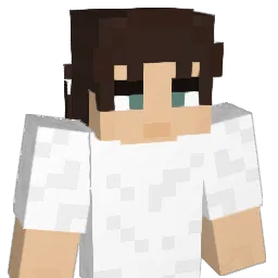 SNASH0404 Minecraft avatar bust