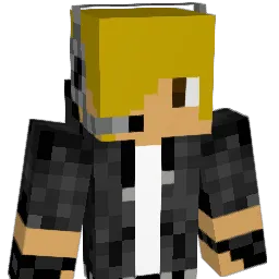 SND101 Minecraft avatar bust