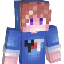 SNEIDGeR Minecraft avatar bust