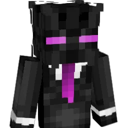 SN_081 Minecraft avatar bust