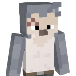 SODFI Minecraft avatar bust