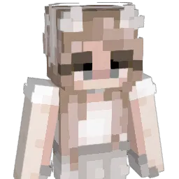 SOKOL16000 Minecraft avatar bust