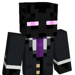 SOLAR_21341 Minecraft avatar bust