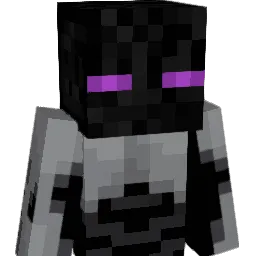 SOUNDWAVE337 Minecraft avatar bust