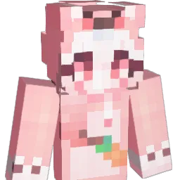 SOY20N Minecraft avatar bust