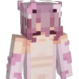 SOmeONE_ORI Minecraft avatar bust
