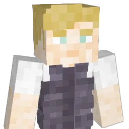 SP4C3__ Minecraft avatar bust